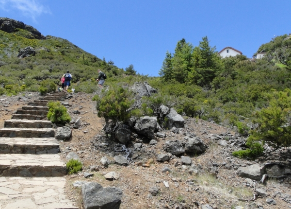 Zdjęcie z Portugalii - Trekking po szczytach Madery