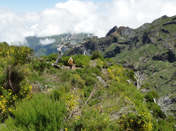 Zdjęcie z Portugalii - Trekking po szczytach Madery