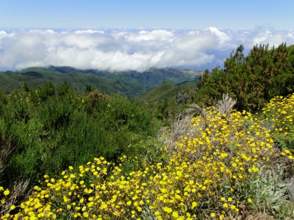 Zdjęcie z Portugalii - Trekking po szczytach Madery