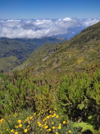 Zdjęcie z Portugalii - Trekking po szczytach Madery