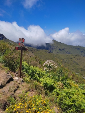 Zdjęcie z Portugalii - Trekking po szczytach Madery