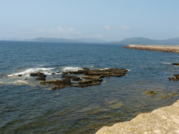 Zdjęcie z Włoch - tam daleko hen hen widac półwysep Capo Caccia do którego popłyniemy 