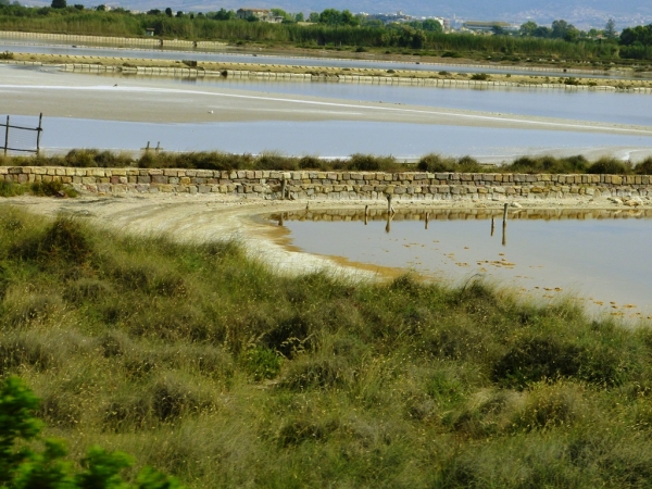 Zdjęcie z Włoch - widok z góry na Molentargius Saline