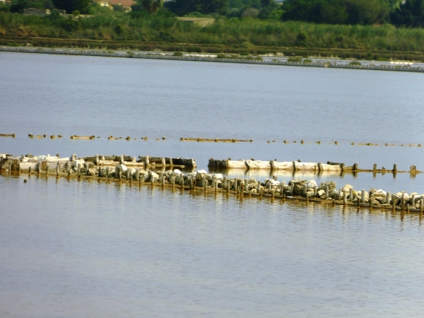 Zdjęcie z Włoch - Park Molentargius Saline