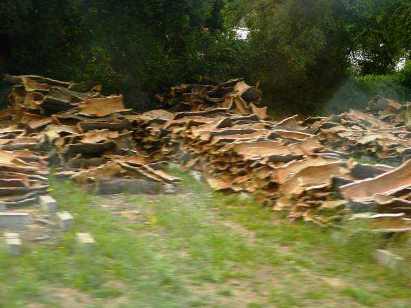 Zdjęcie z Włoch - Tempio Pausania - to miasteczko w północnej części Sardynii  w regionie będącym 