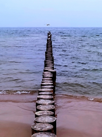 Zdjęcie z Polski - Plaża w Dziwnówku.