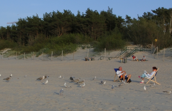 Zdjęcie z Polski - Plaża w Dziwnówku.