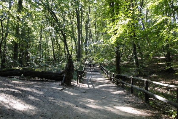 Zdjęcie z Polski - Woliński Park Narodowy