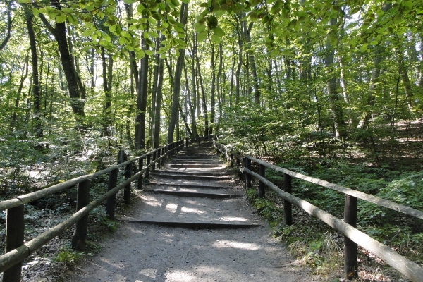 Zdjęcie z Polski - Woliński Park Narodowy