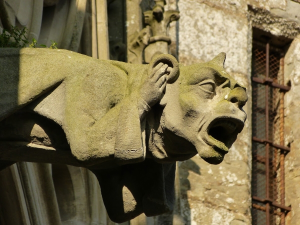 Zdjęcie z Francji - katedralne rzygacze- to coś, co od lat mnie zachwyca