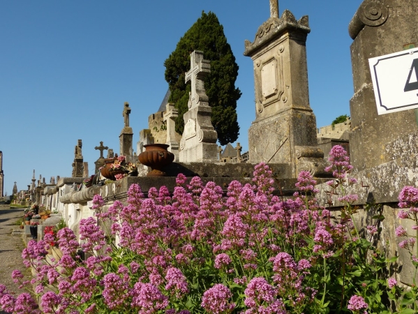Zdjęcie z Francji - Cimentiere-de-Saint-Martin-de-Poursan, bo tak brzmi pełna nazwa tego cmentarza