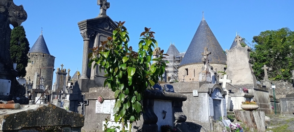 Zdjęcie z Francji - Cmentarz jest niezwykle malowniczy (jeśli można tak w ogóle określić jakikolwiek cmentarz) 