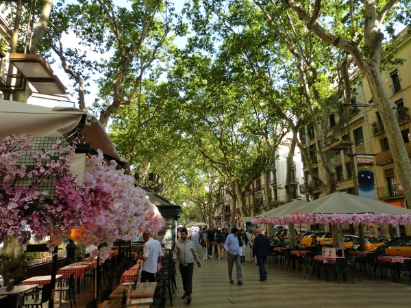 Zdjęcie z Hiszpanii - a tutaj fragment Rambla de Sant Josep lub inaczej Rambla de les Flores ? Rambla Kwiatów