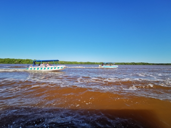 Zdjęcie z Meksyku - 