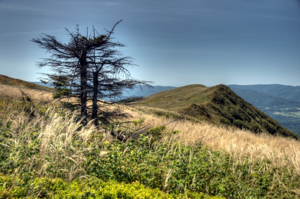 Zdjęcie z Polski - Bieszczady