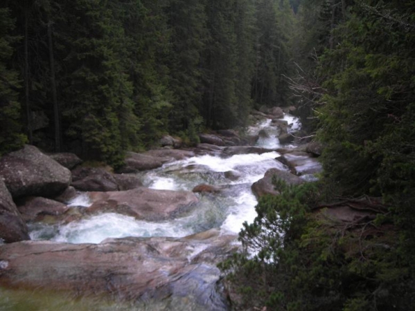 Zdjęcie ze Słowacji - Tatry