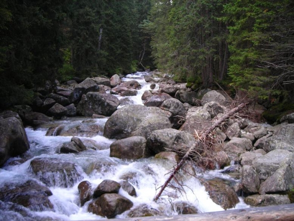 Zdjęcie ze Słowacji - Tatry