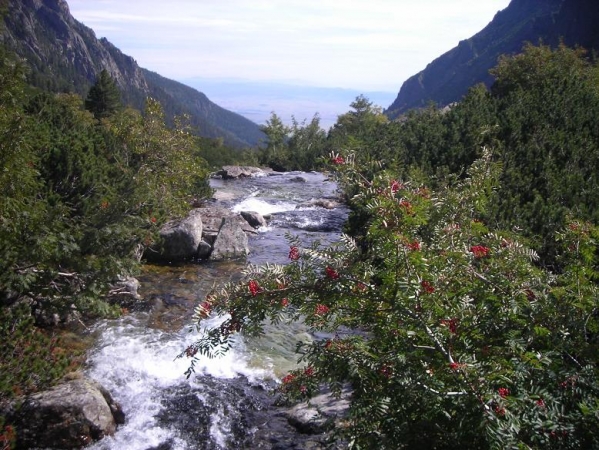 Zdjęcie ze Słowacji - Tatry