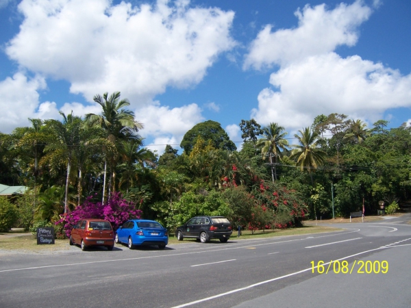 Zdjęcie z Australii - Daintree Village