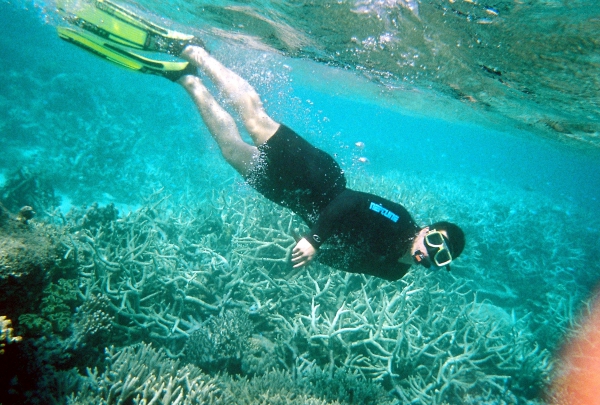 Zdjęcie z Australii - Na rafie koralowej