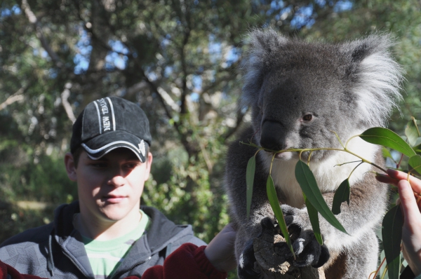 Zdjęcie z Australii - Bliskie spotkania...