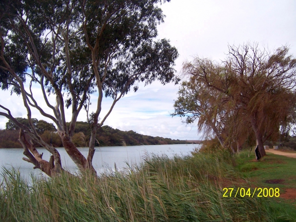 Zdjęcie z Australii - Nad Murray River