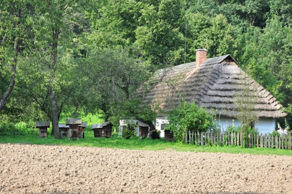 Zdjęcie z Polski - 