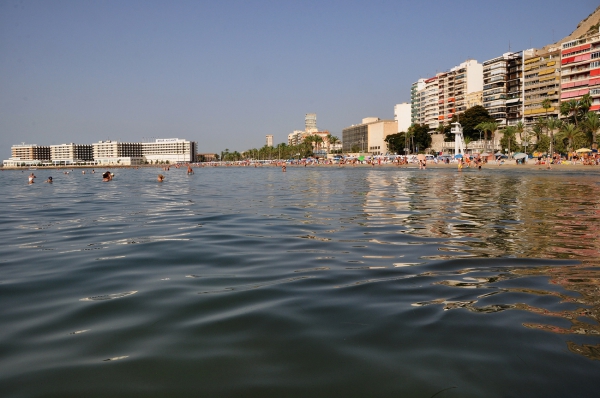 Zdjęcie z Hiszpanii - Alicante