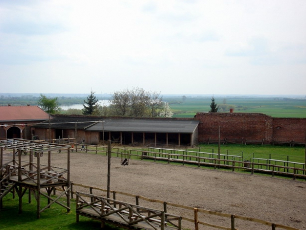 Zdjęcie z Polski - Gniew