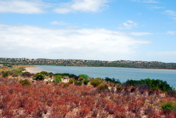 Zdjęcie z Australii - Wydmy i jezioro Coorong