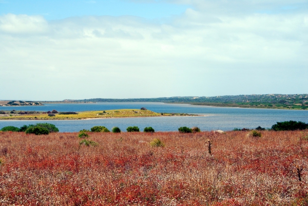 Zdjęcie z Australii - Coorong National Park