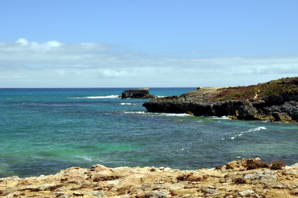 Zdjęcie z Australii - Przyladek Cape Dombey