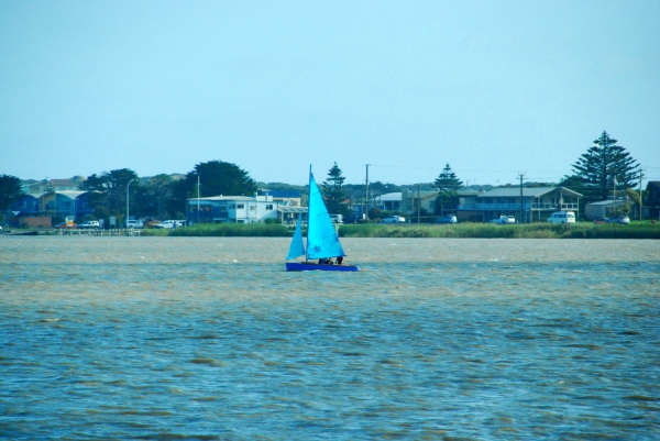 Zdjęcie z Australii - Murray River w Goolwa