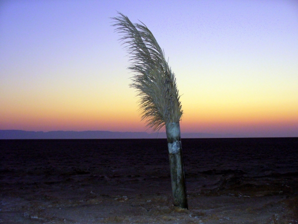 Zdjęcie z Tunezji - wschód słońca