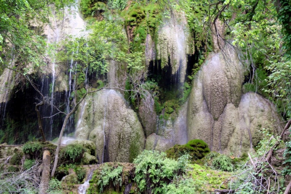 Zdjęcie ze Stanów Zjednoczonych - Gorman Falls - rzeźbiarz 