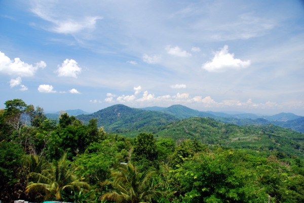 Zdjęcie z Tajlandii - Srodek wyspy Phuket...