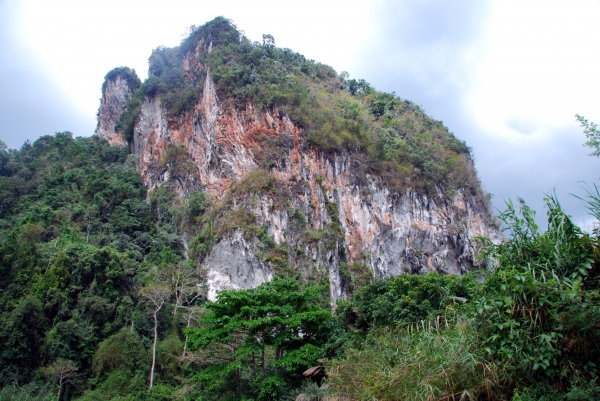 Zdjęcie z Tajlandii - Dzungla Khao Sok