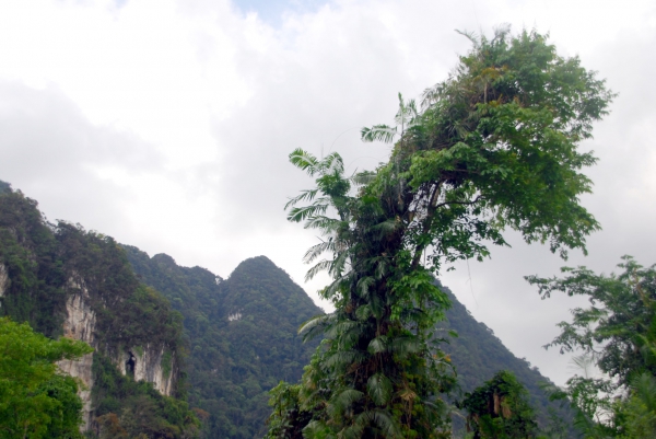 Zdjęcie z Tajlandii - Brzeg rzeki Khao Sok