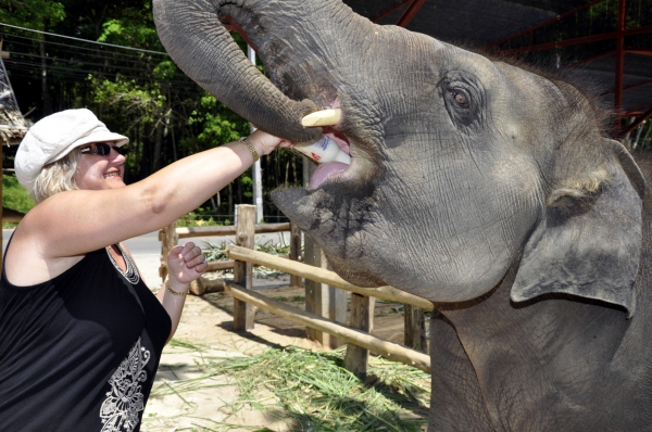Zdjęcie z Tajlandii - Nasz slonikowy kolega...