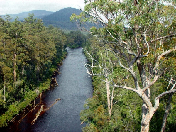 Zdjęcie z Australii - Rzeka Huon River