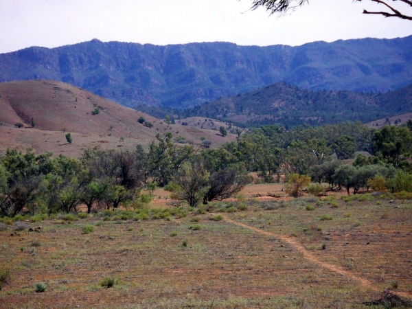 Zdjęcie z Australii - Gory Flinders Ranges