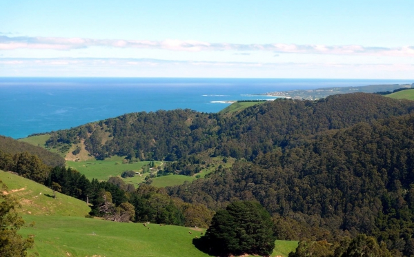 Zdjęcie z Australii - W drodze z Port Campbell