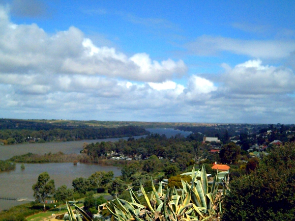 Zdjęcie z Australii - Panorama Mannum