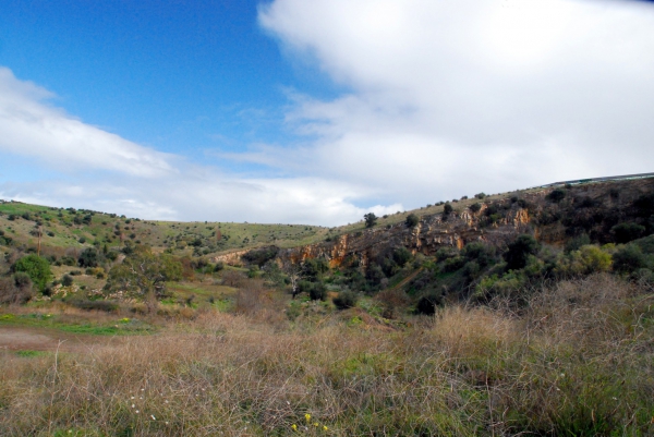 Zdjęcie z Australii - Field River Valley