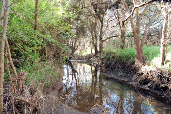 Zdjęcie z Australii - Field River Valley