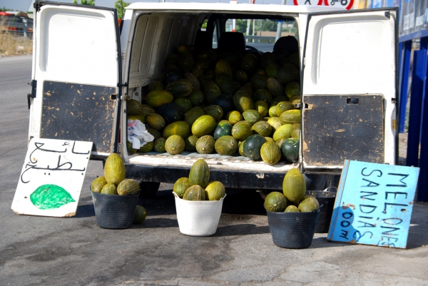 Zdjęcie z Hiszpanii - Melony