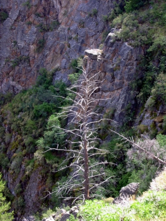 Zdjęcie ze Stanów Zjednoczonych - Black Canyon.