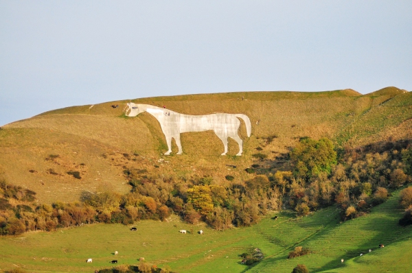 Zdjęcie z Wielkiej Brytanii - White horse