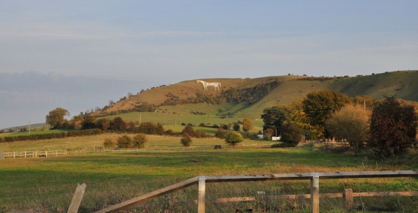 Zdjęcie z Wielkiej Brytanii - White horse