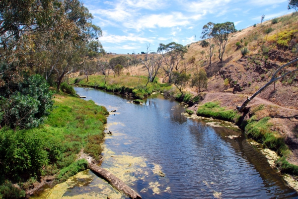 Zdjęcie z Australii - Onkaparinga River